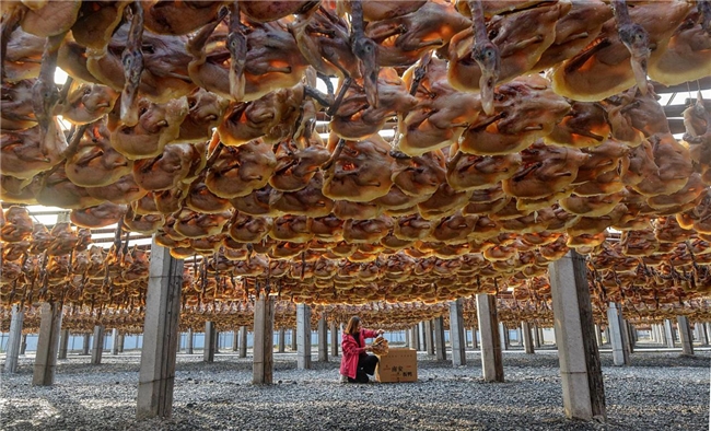 世界美食摄影大赛奖项揭晓-中国摄影师斩获最高奖项 世界美食摄影大赛奖项揭晓-中国摄影师斩获最高奖项