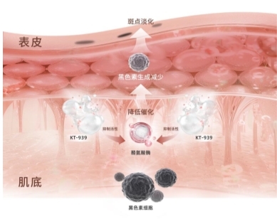 肽安密多“最强美白成分”宝座即将易位?