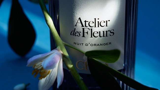 蔻依夜绽花系列香氛全新上市