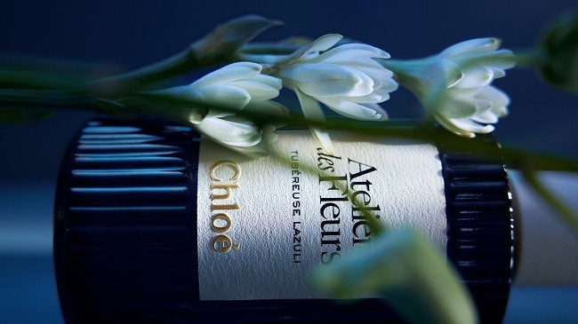 蔻依夜绽花系列香氛全新上市