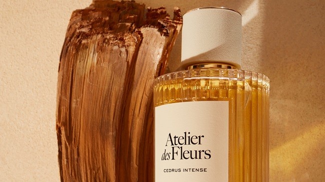 蔻依仙境花园系列香氛 深林雪松全新上市 蔻依仙境花园系列香氛 深林雪松全新上市