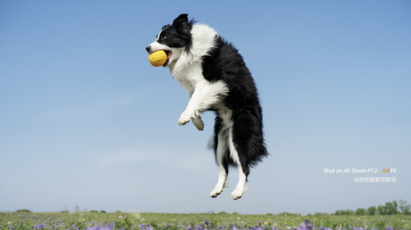 国产首款f1.2全画幅自动对焦！唯卓仕af 35mm f1.2 lab fe正式登场