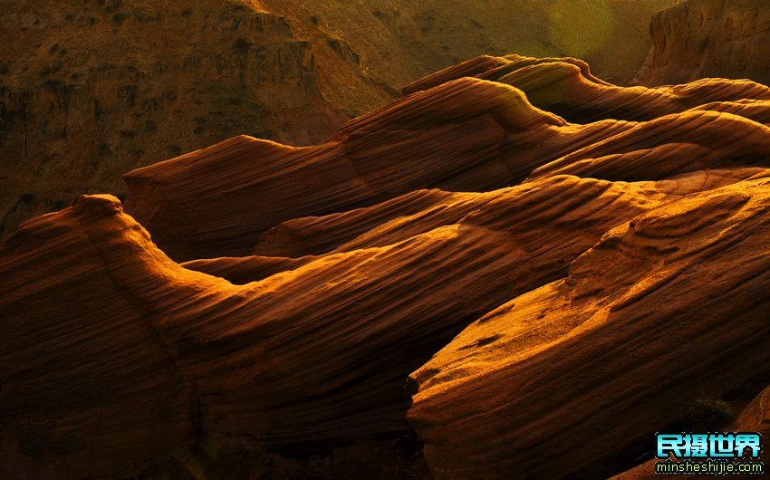 额济纳胡杨林摄影团-怪树林-七彩丹霞-波浪谷-雨岔大峡谷摄影