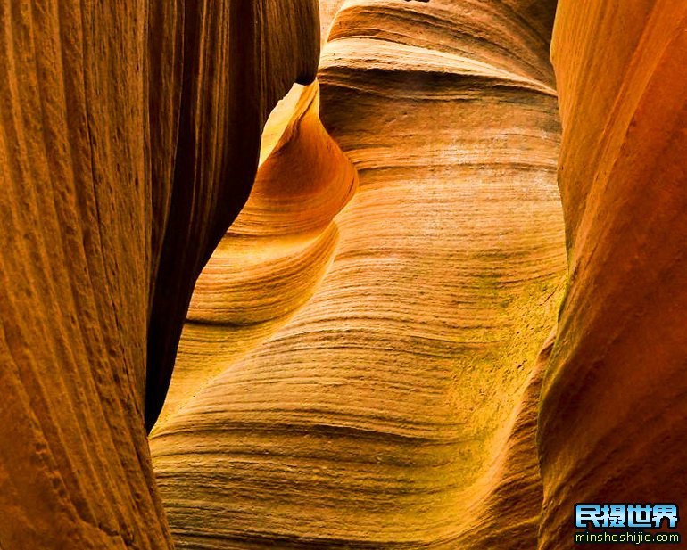 额济纳胡杨林摄影团-怪树林-七彩丹霞-波浪谷-雨岔大峡谷摄影