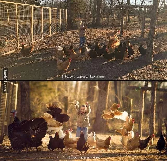 8张对比图，让大家明白什么才叫做专业摄影师