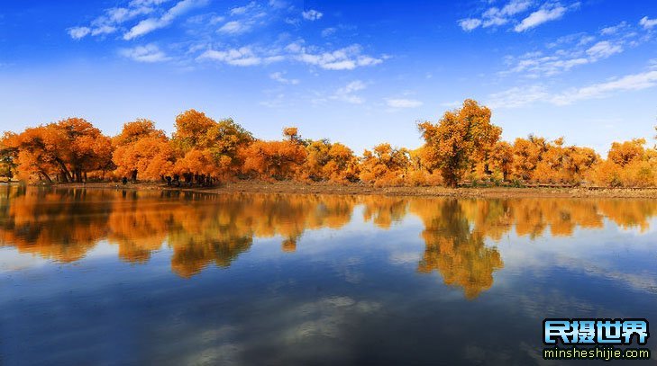 额济纳胡杨林摄影团-怪树林-七彩丹霞-波浪谷-雨岔大峡谷摄影