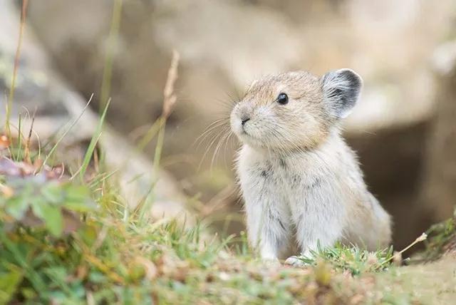 少用区域自动对焦