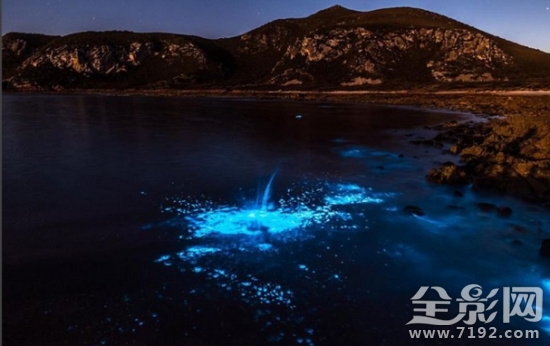 摄影师镜头下的海中“极光”宛若仙境