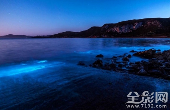 摄影师镜头下的海中“极光”宛若仙境