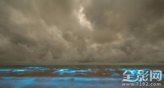 摄影师镜头下的海中“极光”宛若仙境