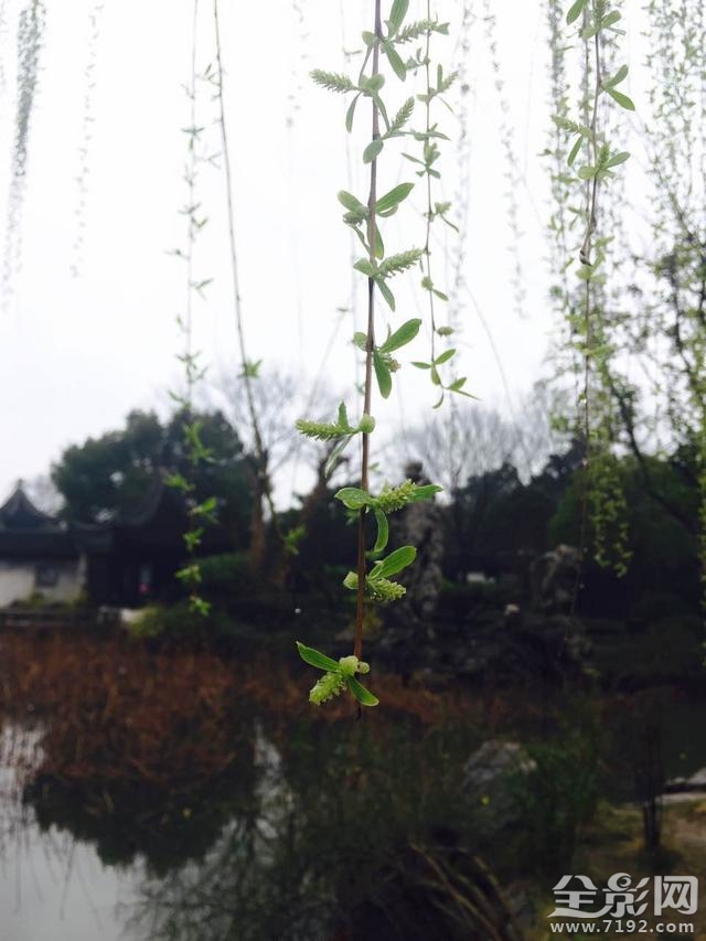 “古韵今风 家在木渎” 首届中国·木渎摄影周启动 “古韵今风 家在木渎” 首届中国·木渎摄影周启动