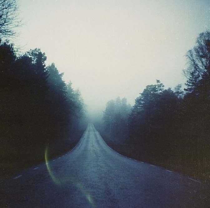 annette pehrsson宝丽来的影像世界