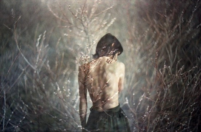 annette pehrsson宝丽来的影像世界