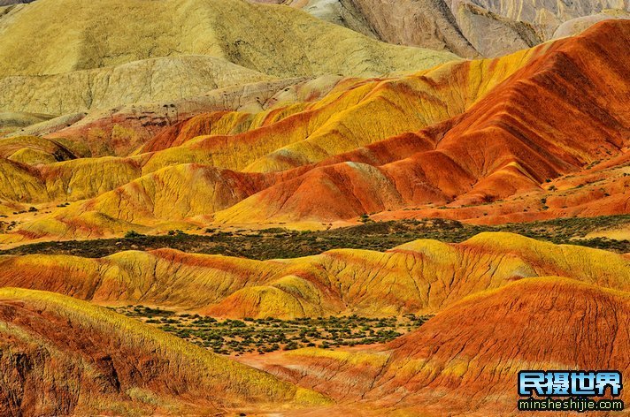 额济纳胡杨林摄影团-怪树林-七彩丹霞-波浪谷-雨岔大峡谷摄影