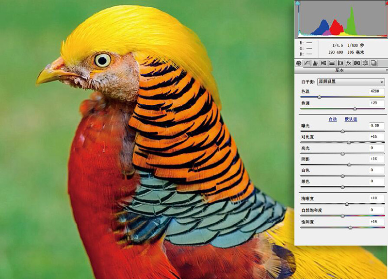 高阶技巧合集降噪锐化两不误