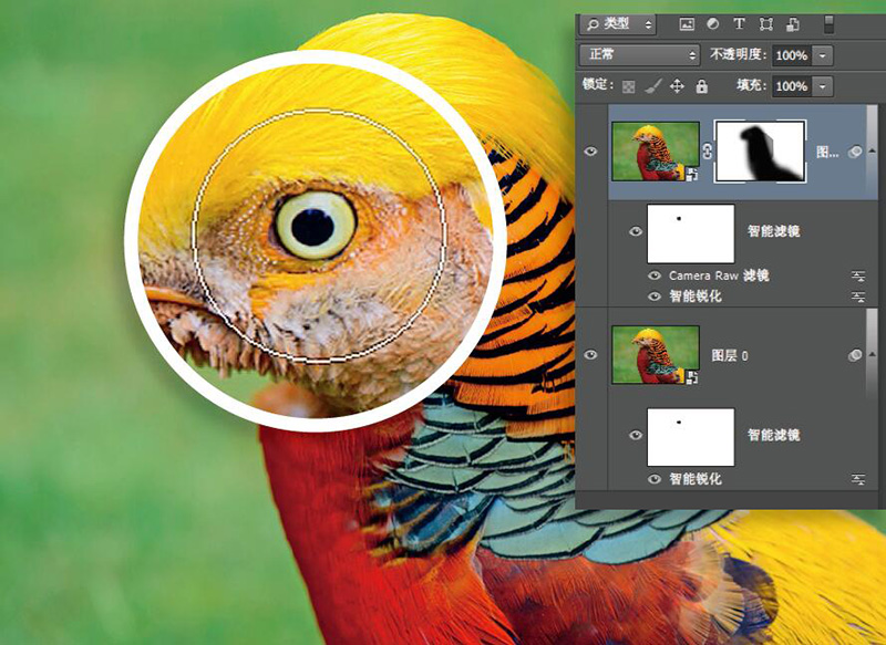高阶技巧合集降噪锐化两不误