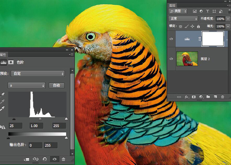 高阶技巧合集降噪锐化两不误