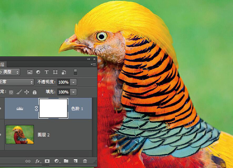 高阶技巧合集降噪锐化两不误