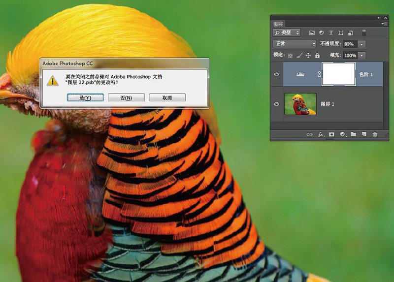 高阶技巧合集降噪锐化两不误