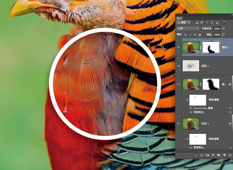 高阶技巧合集降噪锐化两不误