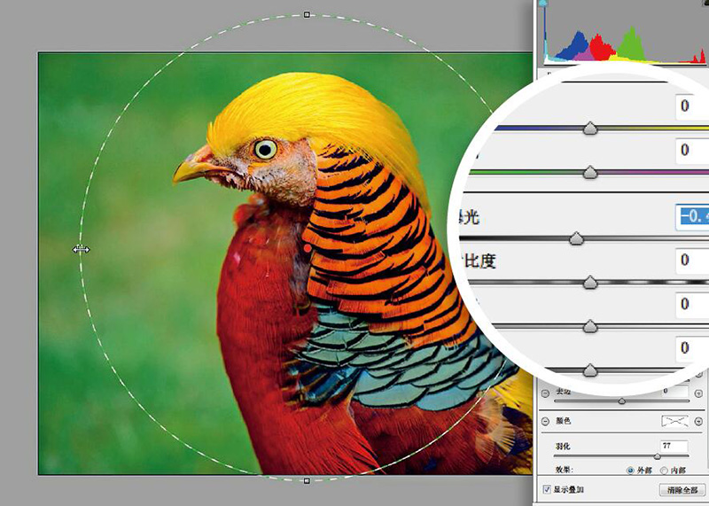 高阶技巧合集降噪锐化两不误