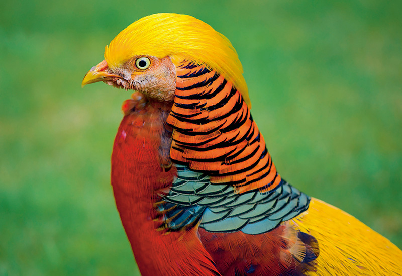 高阶技巧合集降噪锐化两不误