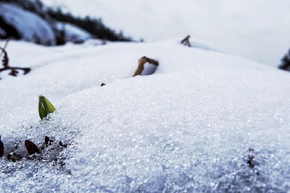 摄影课堂 | 曝光补偿真的有那么难？