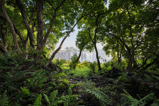 三个注意事项保证风景照片清晰锐利