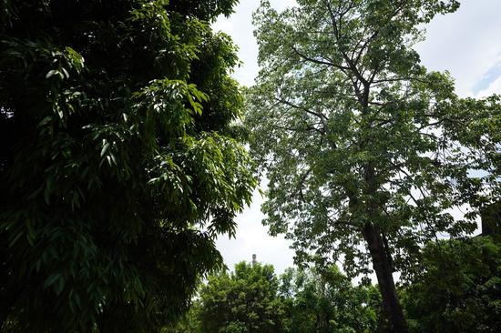 不输g大师的g镜头 索尼sel20f18g评测