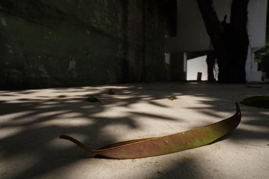 不输g大师的g镜头 索尼sel20f18g评测