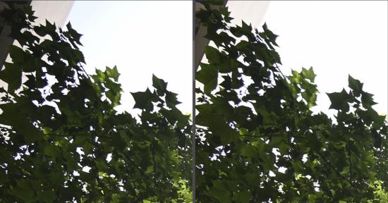 天涯镜新标杆 尼康z24-200mm f/4-6.3vr试用