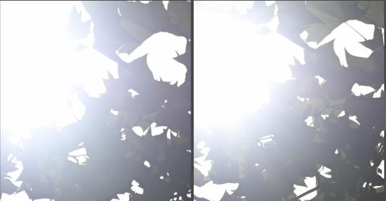 天涯镜新标杆 尼康z24-200mm f/4-6.3vr试用