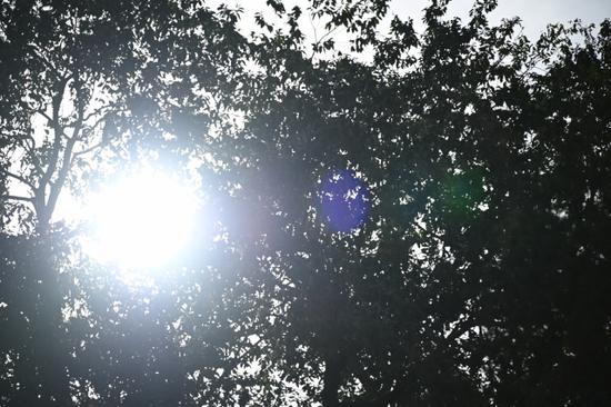 天涯镜新标杆 尼康z24-200mm f/4-6.3vr试用