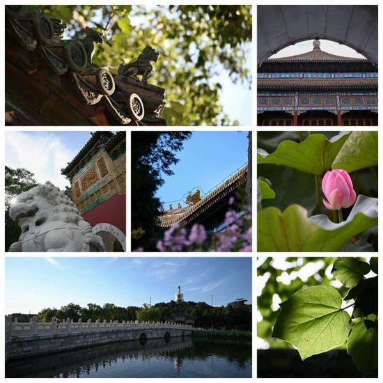 天涯镜新标杆 尼康z24-200mm f/4-6.3vr试用