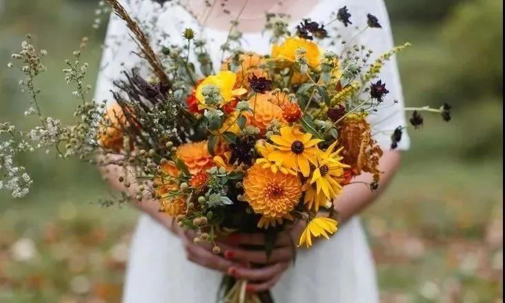 这个黄金周，济南办了8000余场婚礼！