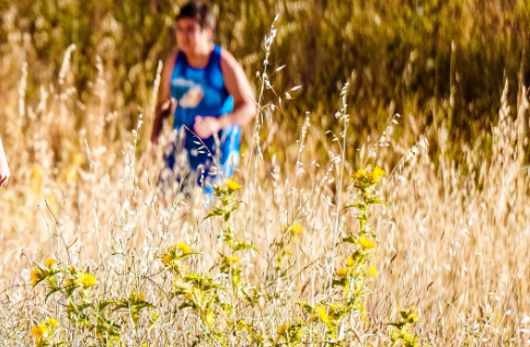 摄影，为什么需要ps后期