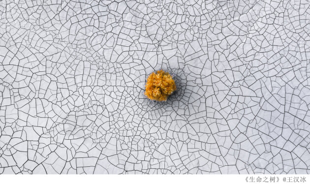 大疆天空之城十周年影像大赛赛程过半：畅拍天地 佳作尽现