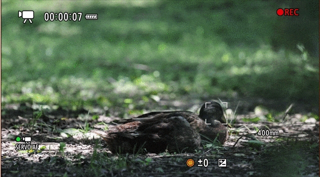 更顺手 更可靠 佳能eos r1 ver1.1.2固件体验评测