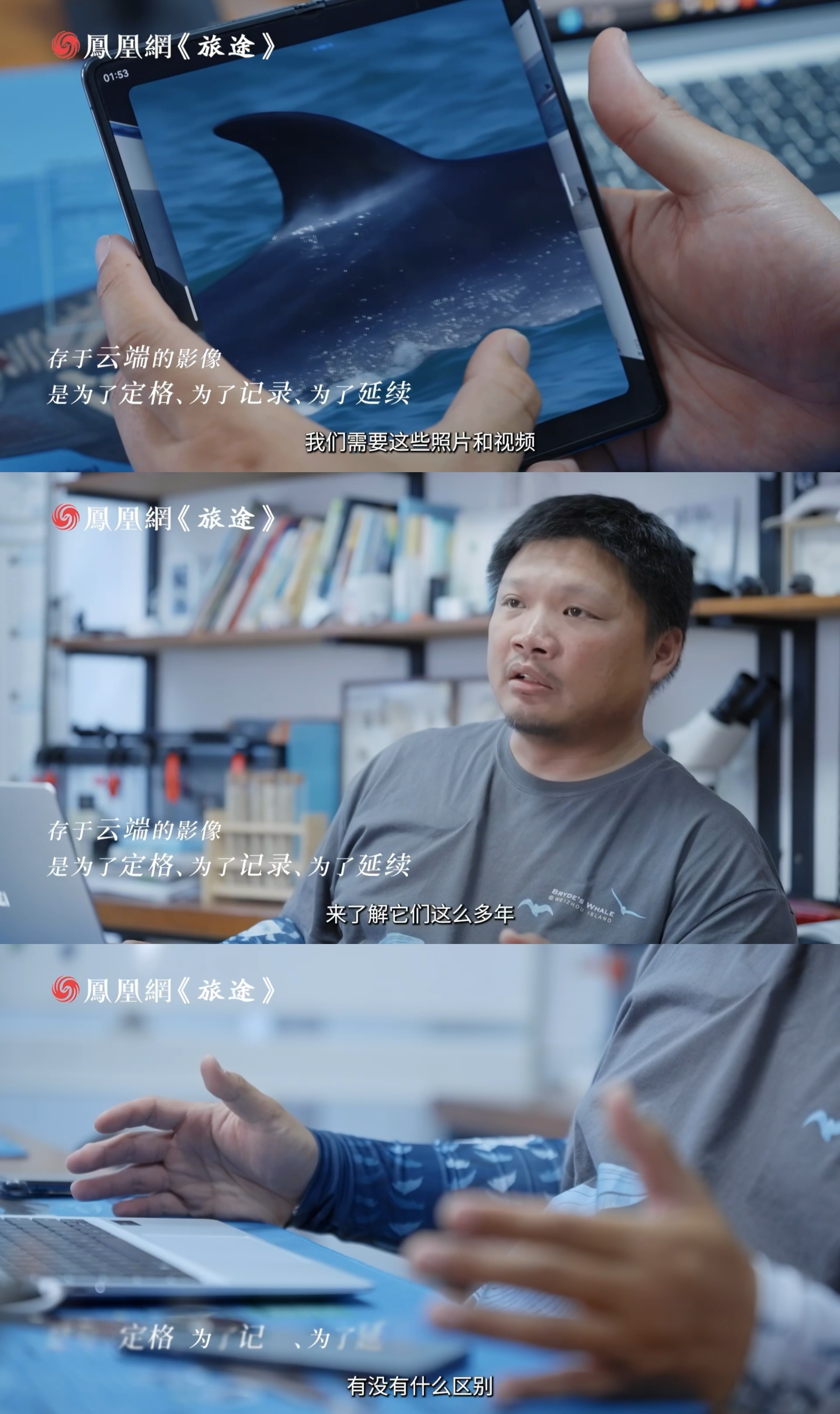 《七年，陈默在云端给布氏鲸安了个“家”》